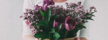Create a Garden that will Love You Back
