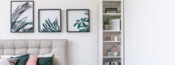 Turn your Home & Garden Into a Plant-Filled Sanctuary