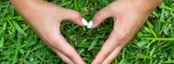 3 Valentine’s Day Plant Pairings as Unique as Your Relationship