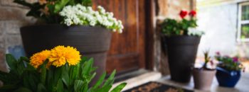 Tips & Tricks for Buying a Pest-Free Home